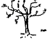 logo-arbre.webp